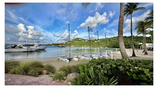 Beach at Cruz Bay - Saint John - VI