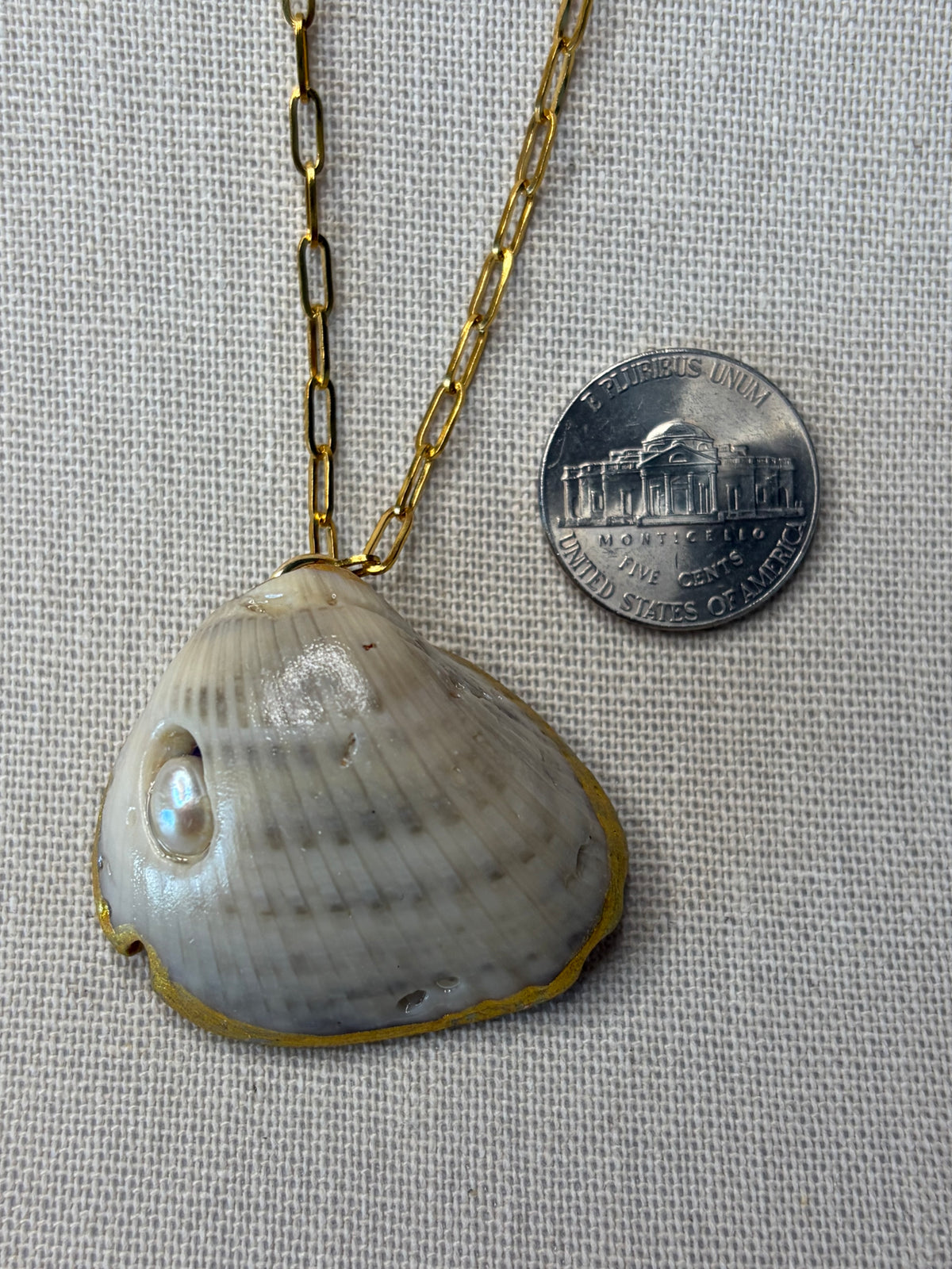 Pearl Tide Seashell Necklace, Freshwater Pearl Jewelry, Ocean Inspired Wearable Art, Padre Island Shell, Gold Coastal Necklace